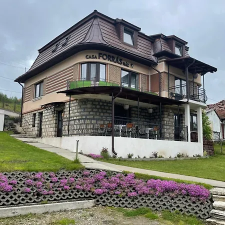 Casa Forras Guest house
